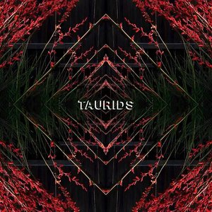 Taurids [Explicit]