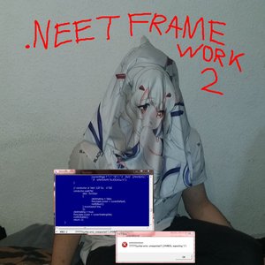 .NEET Framework 2