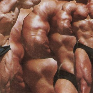 Muscles - Single