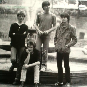 The Chameleons - The Healer Lyrics - Zortam Music