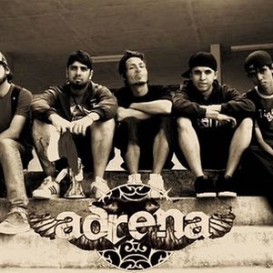 Adrena 的头像