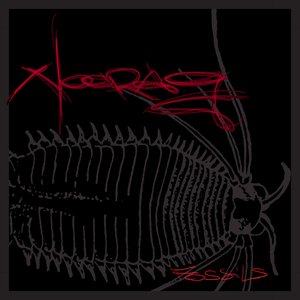 fossils