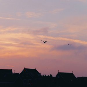 我能把你比作落日吗 (Sunset With You)