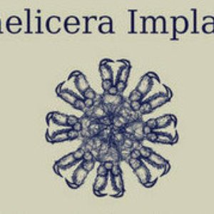 Chelicera Implant 的头像