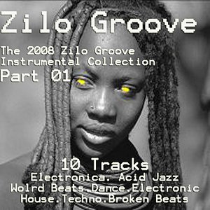Zilo Groove 2008 Instrumental Collection, Part 01