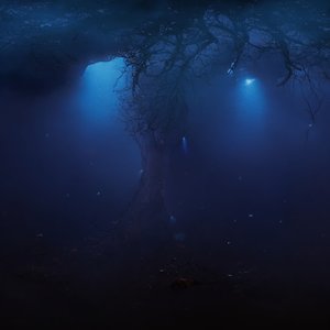 Back and Forth - Single