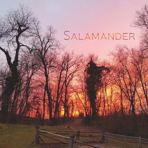 Salamander