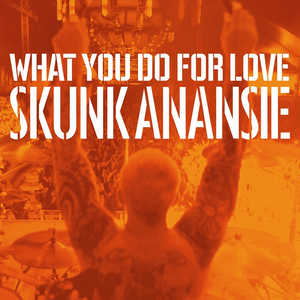 Skunk Anansie - What You Do For Love Lyrics - Zortam Music