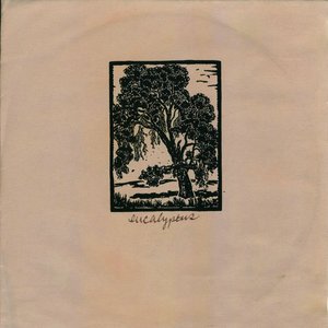 Eucalyptus