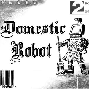 Domestic Robot 的头像