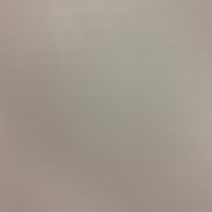 Dick in My Ass - Single