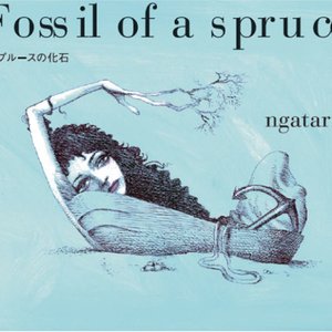 Fossil Of A Spruce
