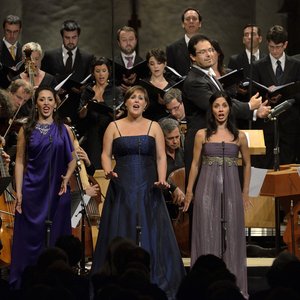 Cappella Mediterranea 的头像