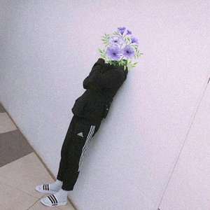 harrylofi 的头像