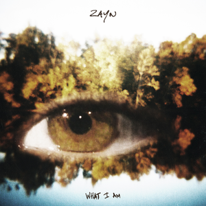 Zayn - What I am