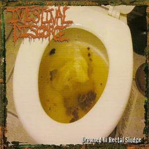 Drowned in Rectal Sludge cover