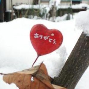 Kuu∮Kai 的头像