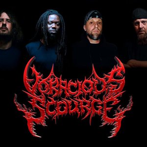 VORACIOUS SCOURGE 的头像