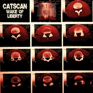 Wake Of Liberty