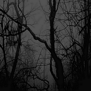 Wounded Solitude cover