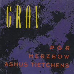 Asmus Tietchens / PGR / Merzbow 的头像