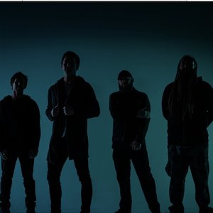 Shallowsky 的头像