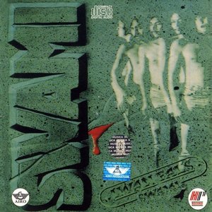 Swami, Vol. 1