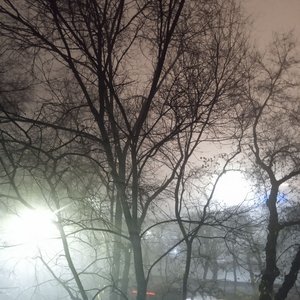 The Fog Is Closer Than Ever - EP