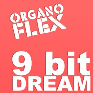 Image for '9 bit DREAM'