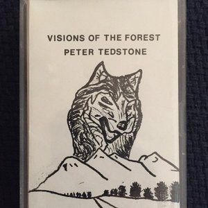 Visions Of The Forest
