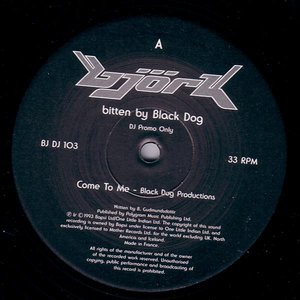 Björk Bitten By Black Dog