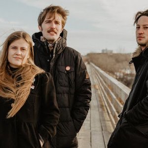 Kacy & Clayton And Marlon Williams 的头像