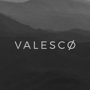 Valesco 的头像