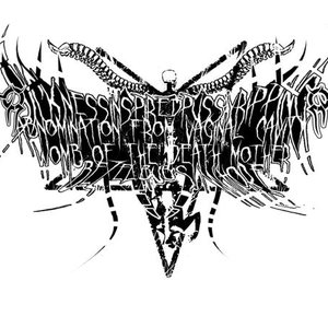 Sickness Inspired Pussy Ripping Abomination From Vaginal Cavity Womb Of The Death Mother Bezelbub's Whore 的头像