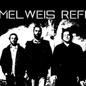 Image for 'Semmelweis Reflex'