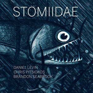 Stomiidae