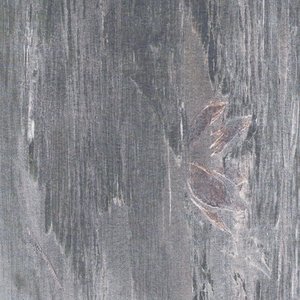Ephedrin Bird Samba