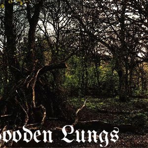 Wooden Lungs 的头像