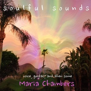 Soulful Sounds: Voice, Guitar and Then Some