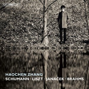 Schumann, Liszt, Janáček & Brahms: Piano Works