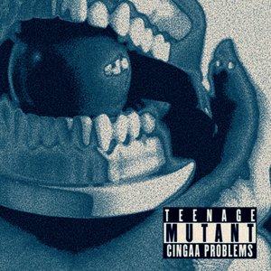 Teenage Mutant CiNgaa Problems