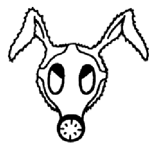 Avatar di enkoTek