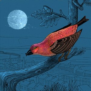 First Moonbeams of Adulthood