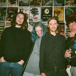 Courtney & the Wolves 的头像