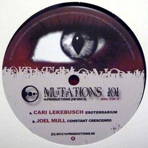 “Cari Lekebusch & Joel Mull”的封面