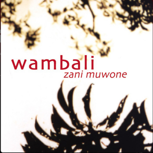 W Rambali Nkhujipeleka | Wambali Lyrics, Meaning & Videos