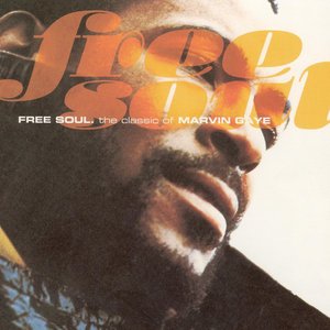 FREE SOUL. the classic of MARVIN GAYE