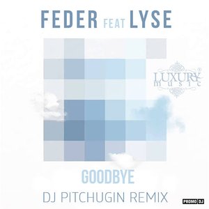 Goodbye — Feder feat. LYSE | Last.fm