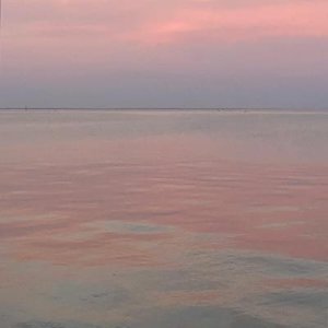 Entry - Single