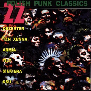 22 Polish Punk Classics